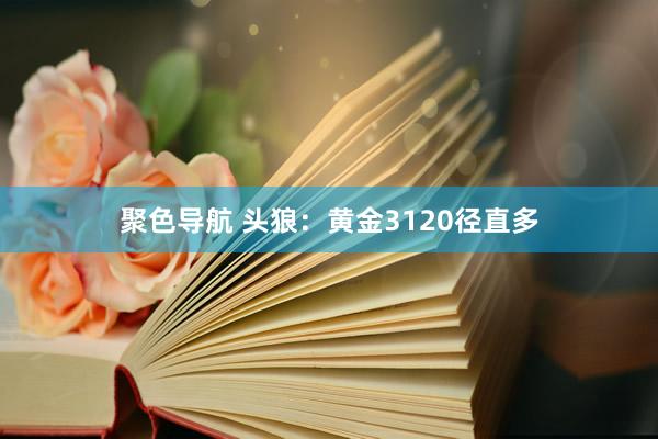 聚色导航 头狼：黄金3120径直多