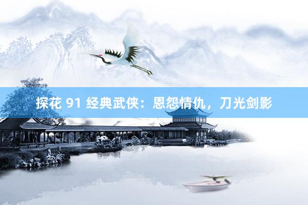 探花 91 经典武侠：恩怨情仇，刀光剑影
