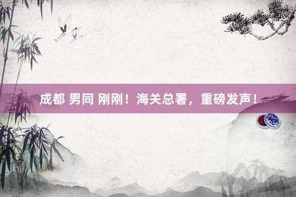成都 男同 刚刚！海关总署，重磅发声！