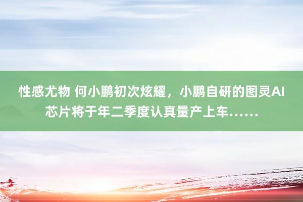 性感尤物 何小鹏初次炫耀，小鹏自研的图灵AI芯片将于年二季度认真量产上车……