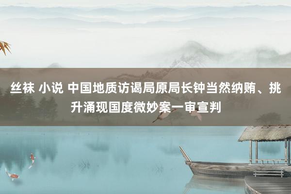 丝袜 小说 中国地质访谒局原局长钟当然纳贿、挑升涌现国度微妙案一审宣判