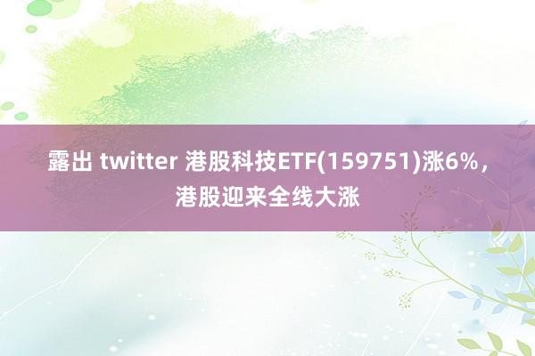 露出 twitter 港股科技ETF(159751)涨6%，港股迎来全线大涨
