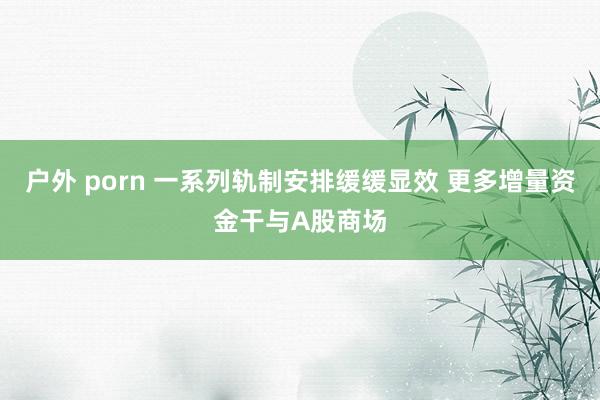 户外 porn 一系列轨制安排缓缓显效 更多增量资金干与A股商场
