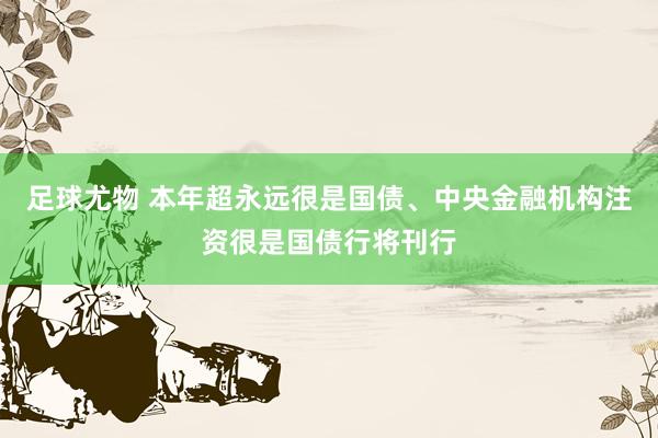 足球尤物 本年超永远很是国债、中央金融机构注资很是国债行将刊行