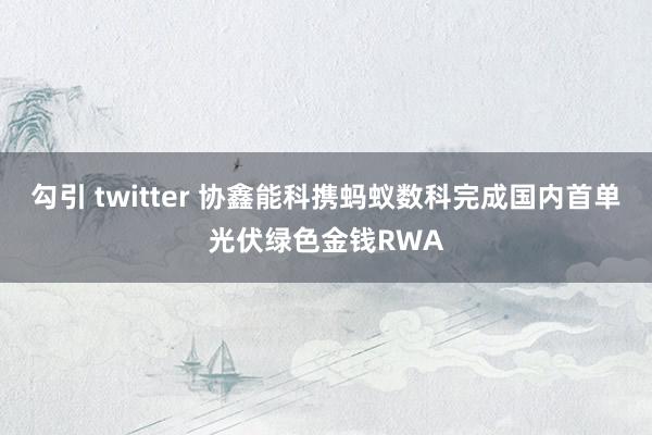 勾引 twitter 协鑫能科携蚂蚁数科完成国内首单光伏绿色金钱RWA
