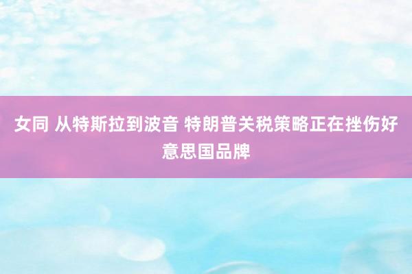 女同 从特斯拉到波音 特朗普关税策略正在挫伤好意思国品牌
