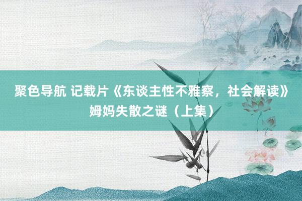 聚色导航 记载片《东谈主性不雅察，社会解读》姆妈失散之谜（上集）