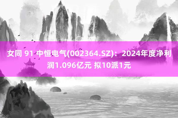 女同 91 中恒电气(002364.SZ)：2024年度净利润1.096亿元 拟10派1元