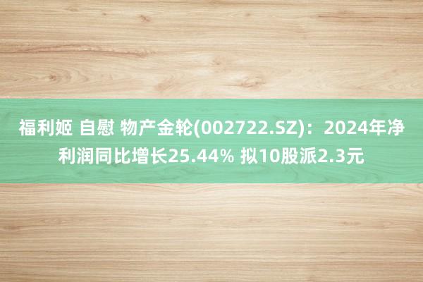 福利姬 自慰 物产金轮(002722.SZ)：2024年净利润同比增长25.44% 拟10股派2.3元