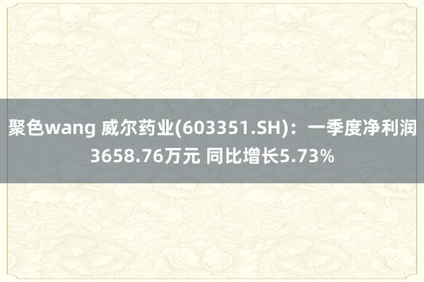 聚色wang 威尔药业(603351.SH)：一季度净利润3658.76万元 同比增长5.73%