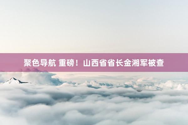 聚色导航 重磅！山西省省长金湘军被查