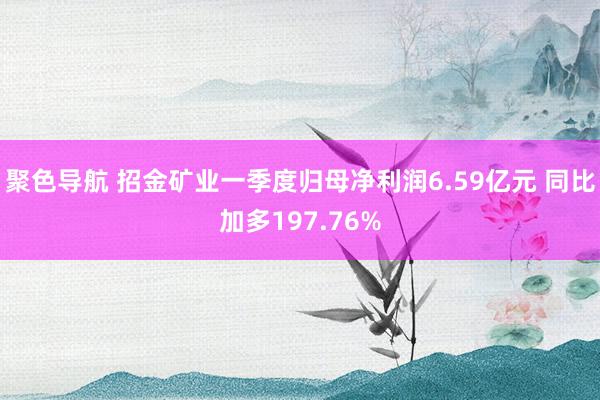 聚色导航 招金矿业一季度归母净利润6.59亿元 同比加多197.76%