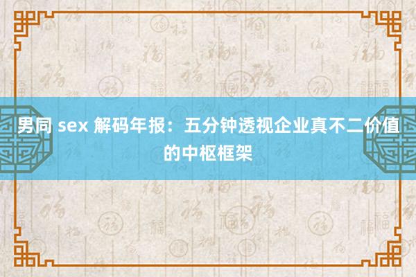男同 sex 解码年报：五分钟透视企业真不二价值的中枢框架