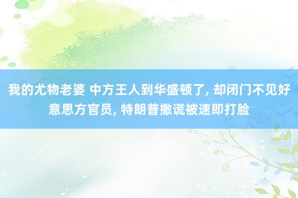 我的尤物老婆 中方王人到华盛顿了， 却闭门不见好意思方官员， 特朗普撒谎被速即打脸
