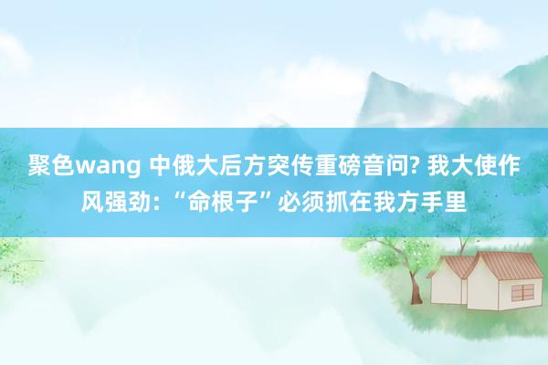 聚色wang 中俄大后方突传重磅音问? 我大使作风强劲: “命根子”必须抓在我方手里